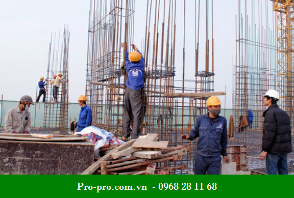 Giày bảo hộ cao cấp