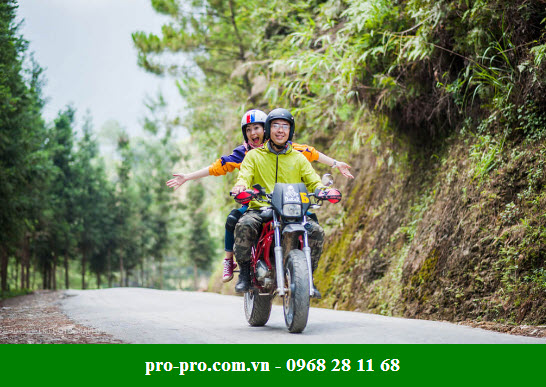 Giày bảo hộ moto