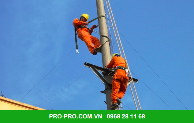 dây đai an toàn hàn quốc sự lựa chọn số 1