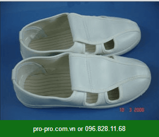 giày phòng sạch 4 lỗ trắng