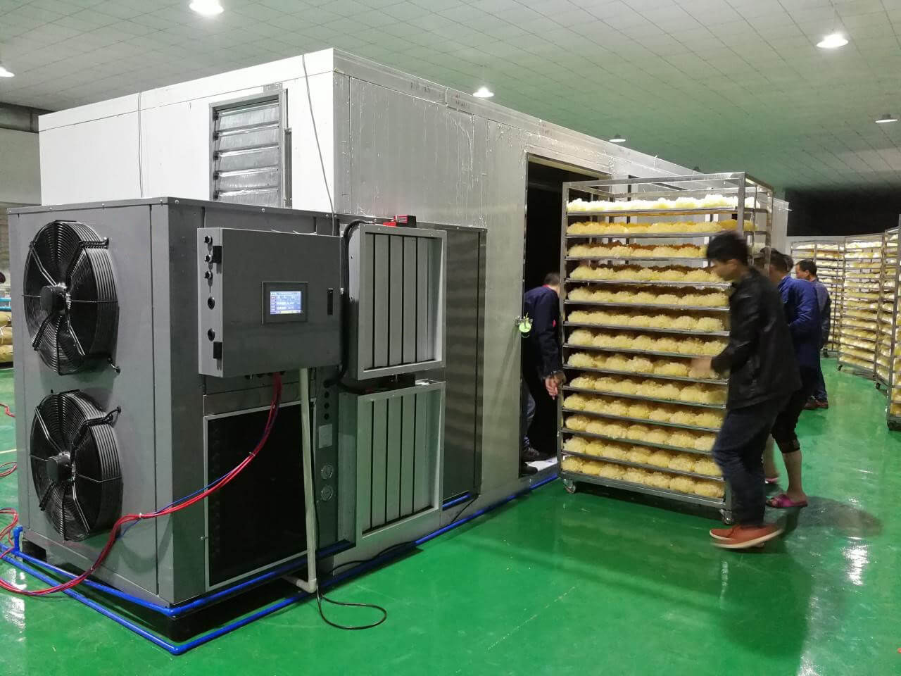 Đưa khay sấy vào buồng sấy